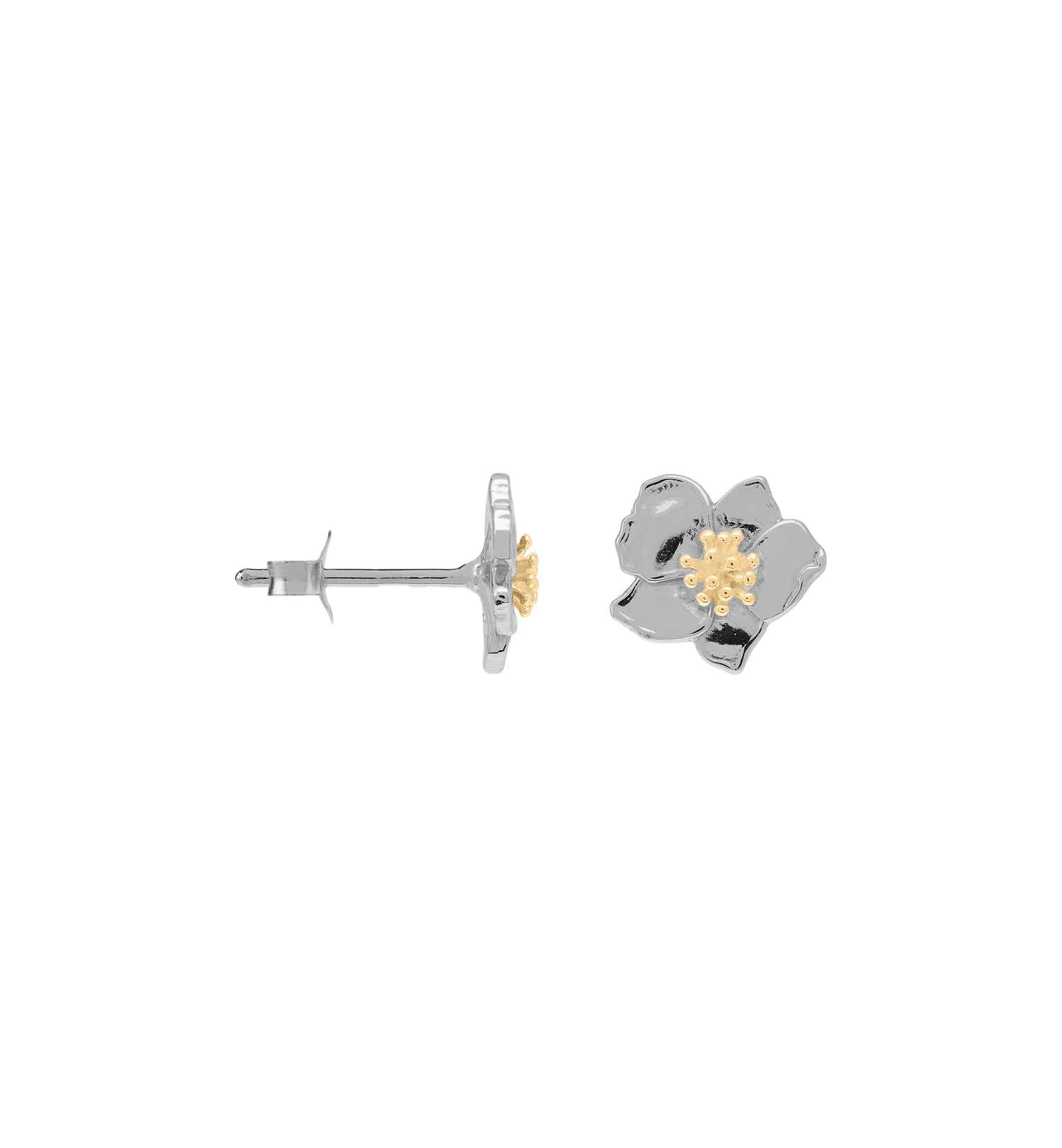 A&N Single Fiorita Stud