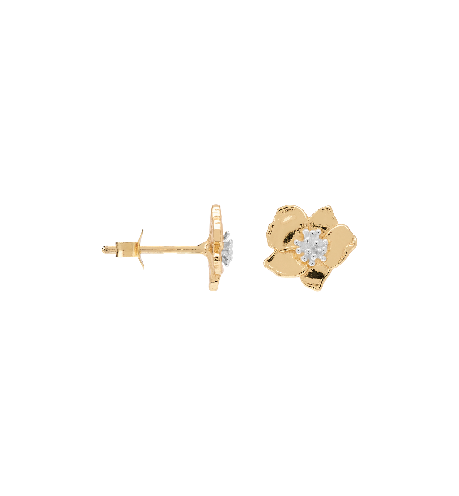 A&N Single Fiorita Stud