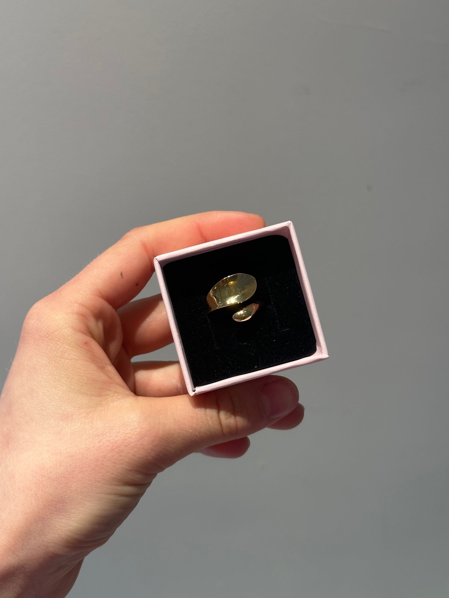 Amy Hugged Ring