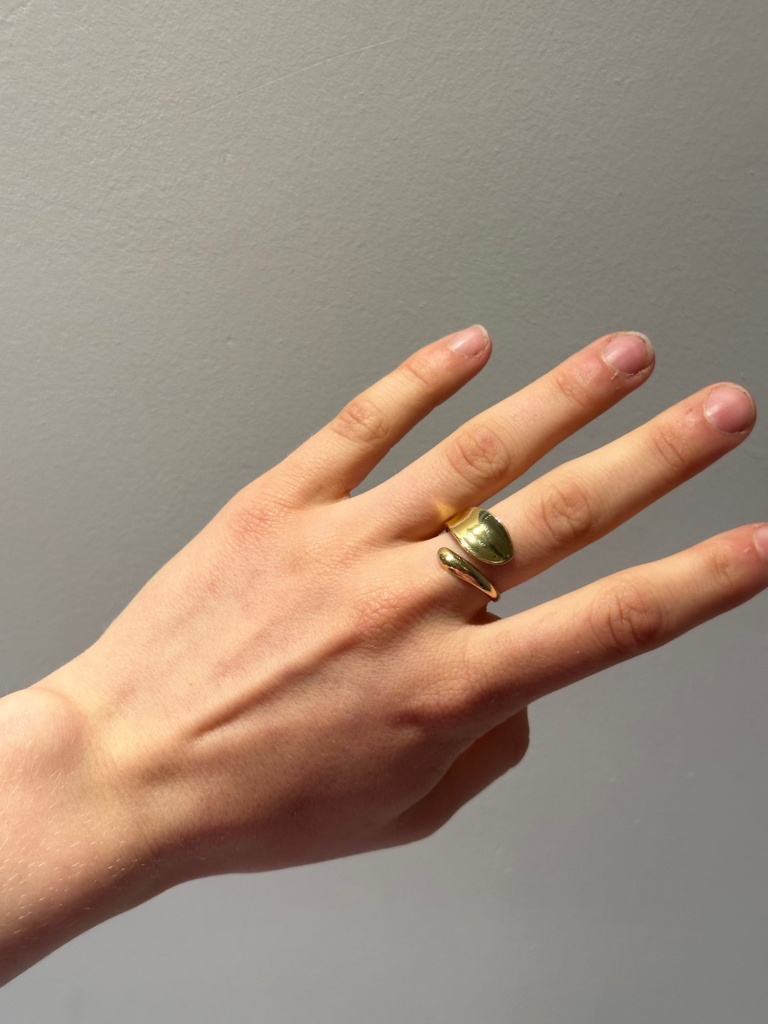 Amy Hugged Ring