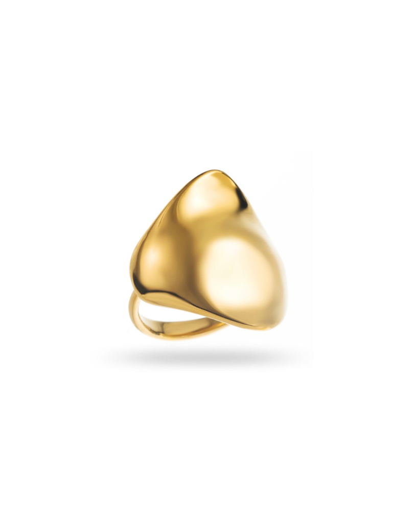 Nala Ring-Goud/Zilver