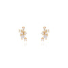 Little Golden Diamond Stone Earring-Goud/Zilver
