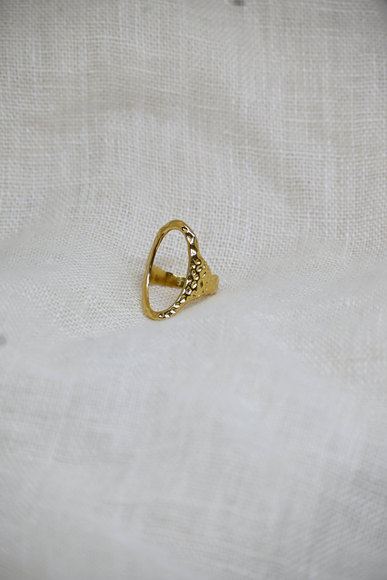 Issy Golden Oval Ring-Goud/Zilver